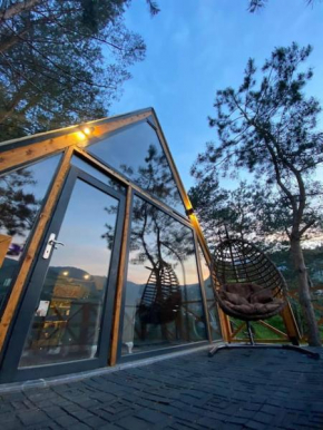 Forest Suite Bungalov